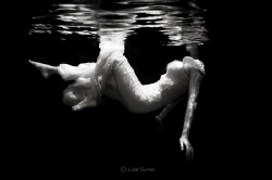 Capturing reflections. 
Black back drop with natural lig... by Juliet Dunne 